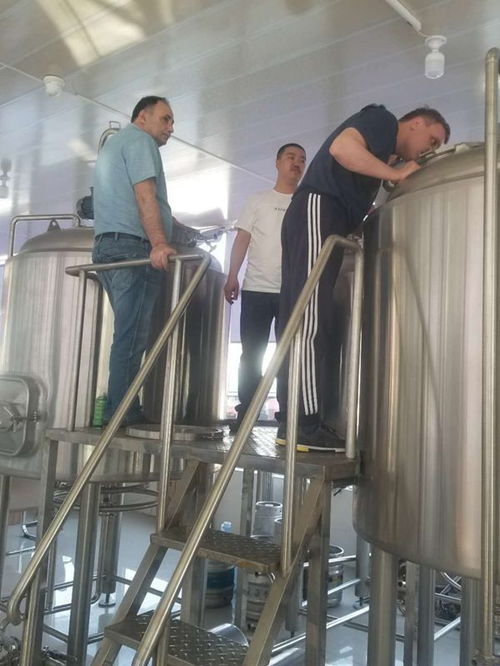 2吨小型精酿啤酒厂生产设备投资预算与上门安装服务解析