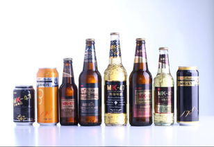 玛咖啤酒代理加盟与啤酒设备全解析 机遇与选择