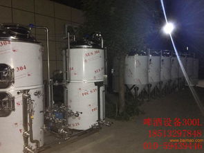 自酿啤酒设备价格解析 从入门到生产的全方位指南