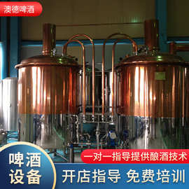 精酿啤酒设备投资指南 价格解析与一体机、分体机选择策略